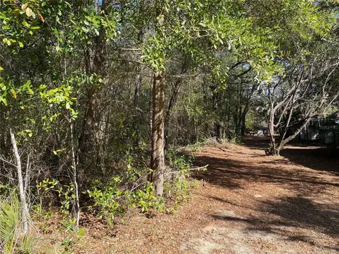 2085 SW Algiers Court Dunnellon FL 34431