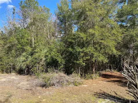 2085 SW Algiers Court Dunnellon FL 34431