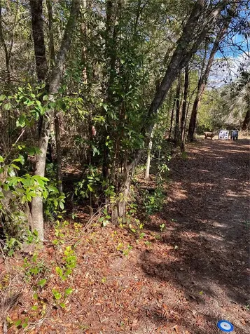 2085 SW Algiers Court Dunnellon FL 34431