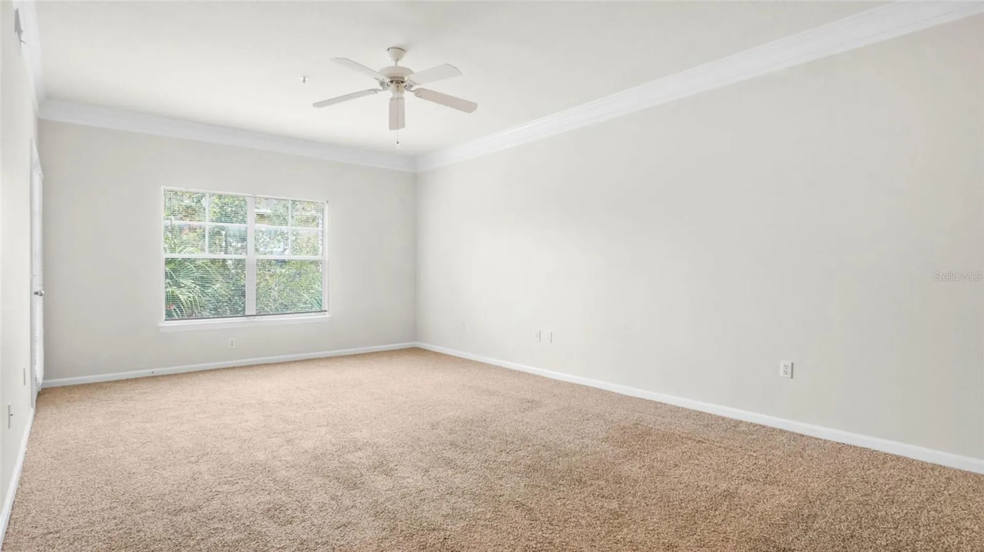 4207 S Dale Mabry Highway Tampa FL 33611