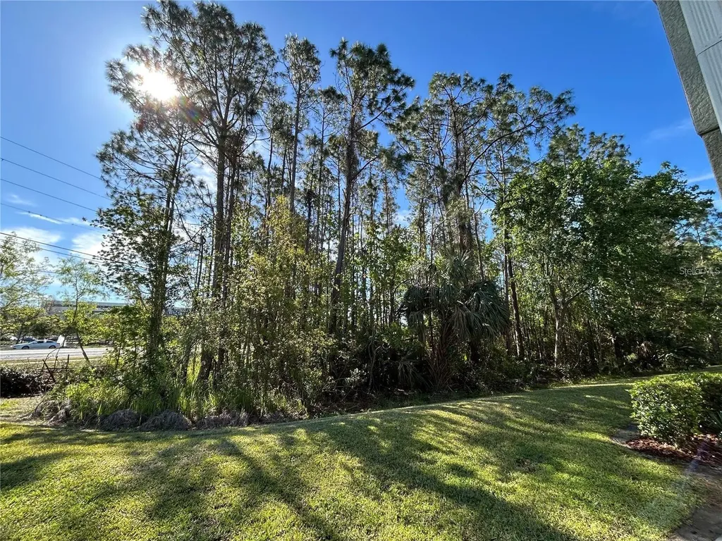 2802 Birchcreek Drive Wesley Chapel FL 33544
