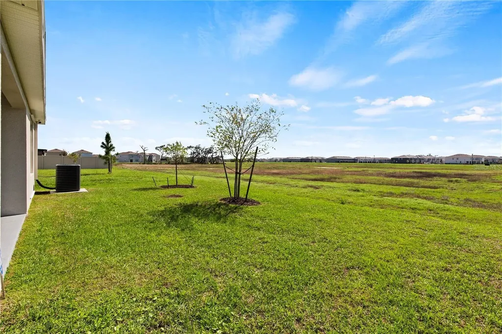 6250 Wandering Willow Drive Wesley Chapel FL 33545