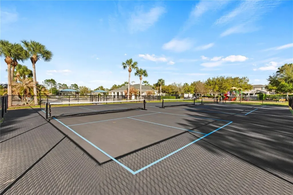 6250 Wandering Willow Drive Wesley Chapel FL 33545