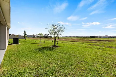 6250 Wandering Willow Drive Wesley Chapel FL 33545