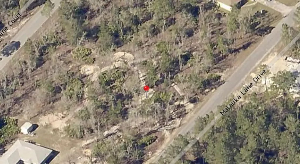 00 Malauka Trail Drive Ocklawaha FL 32179