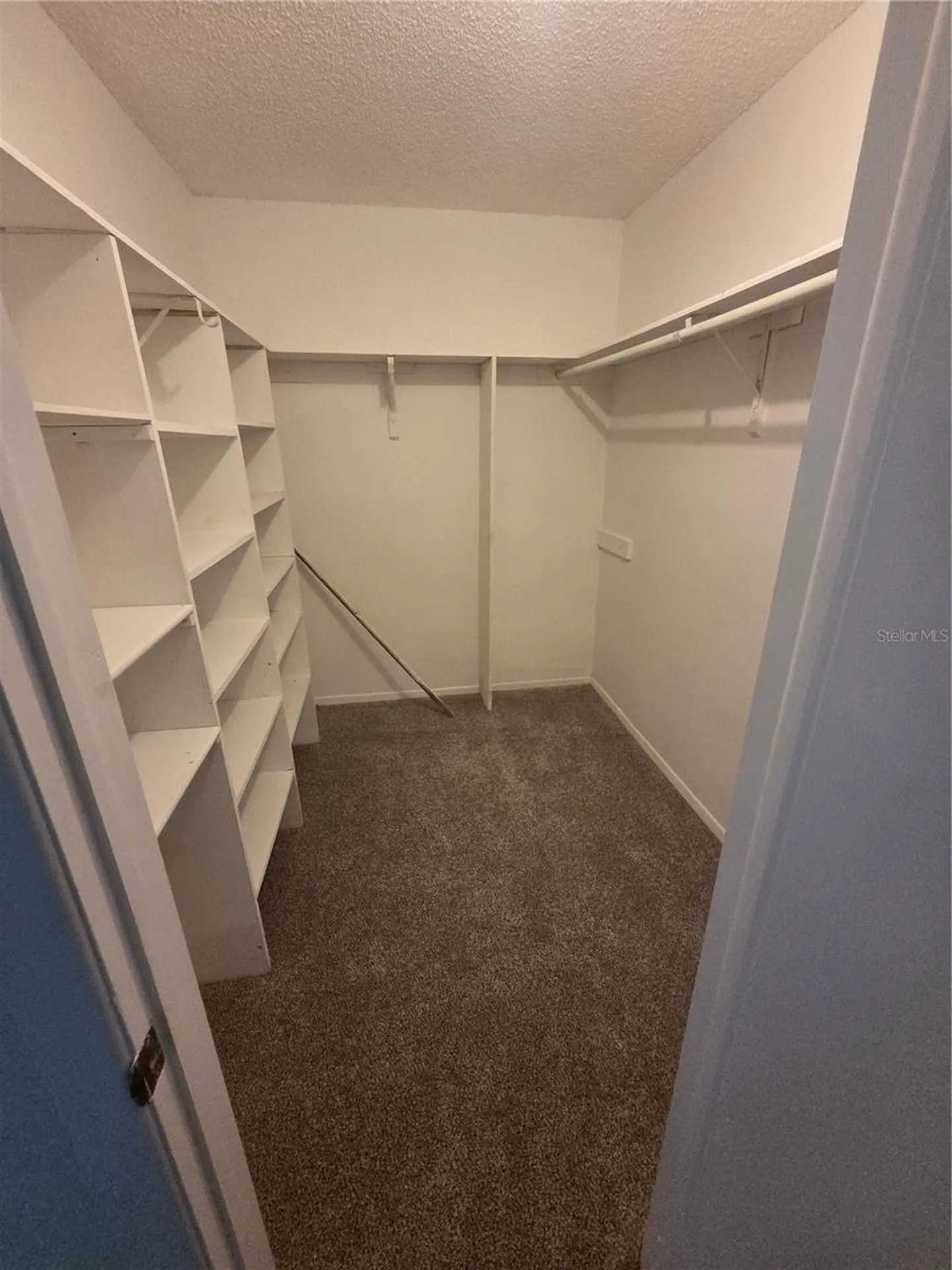 2010 Branch Tree Lane Brandon FL 33511