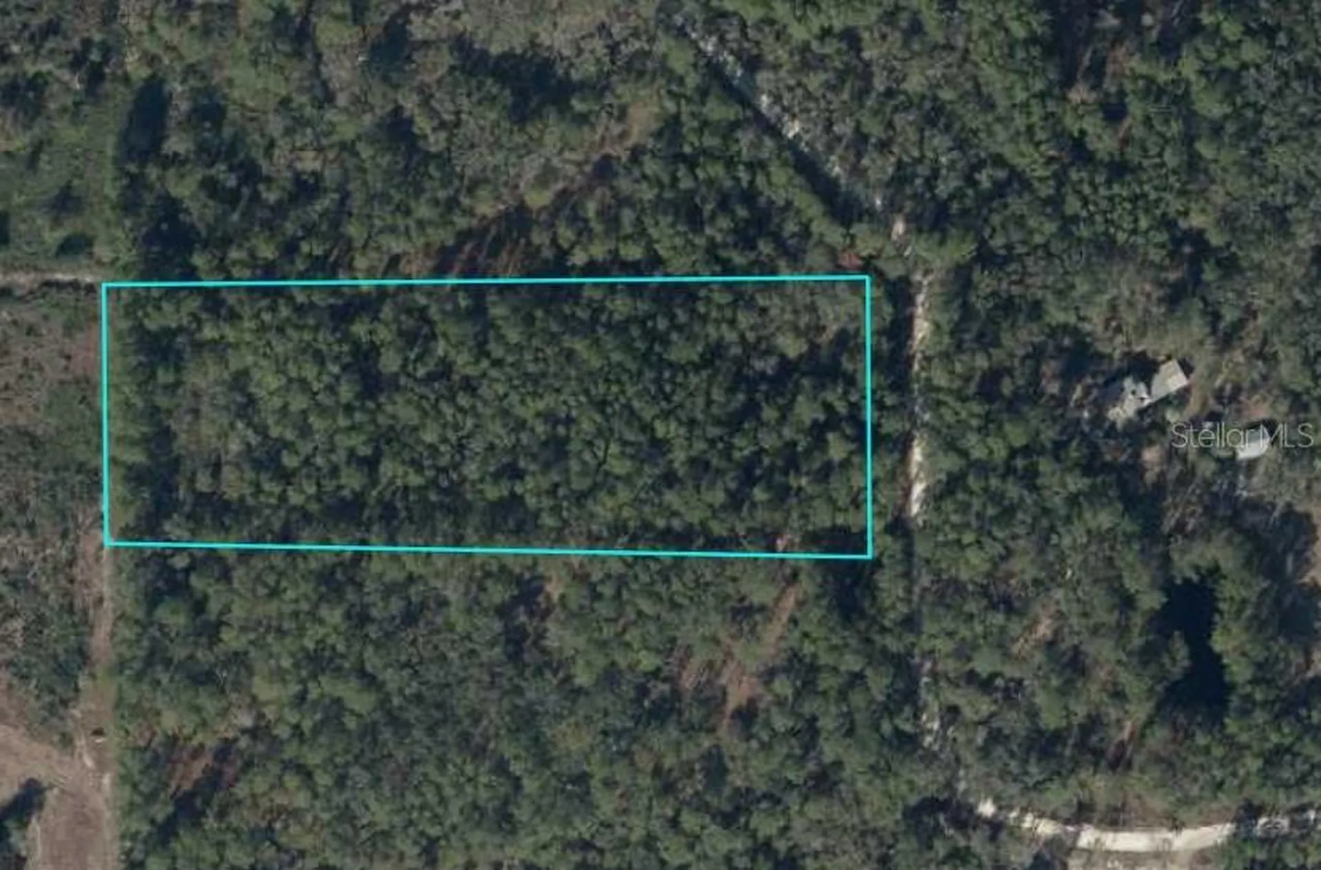 Tbd SE 91st Trail Trenton FL 32693