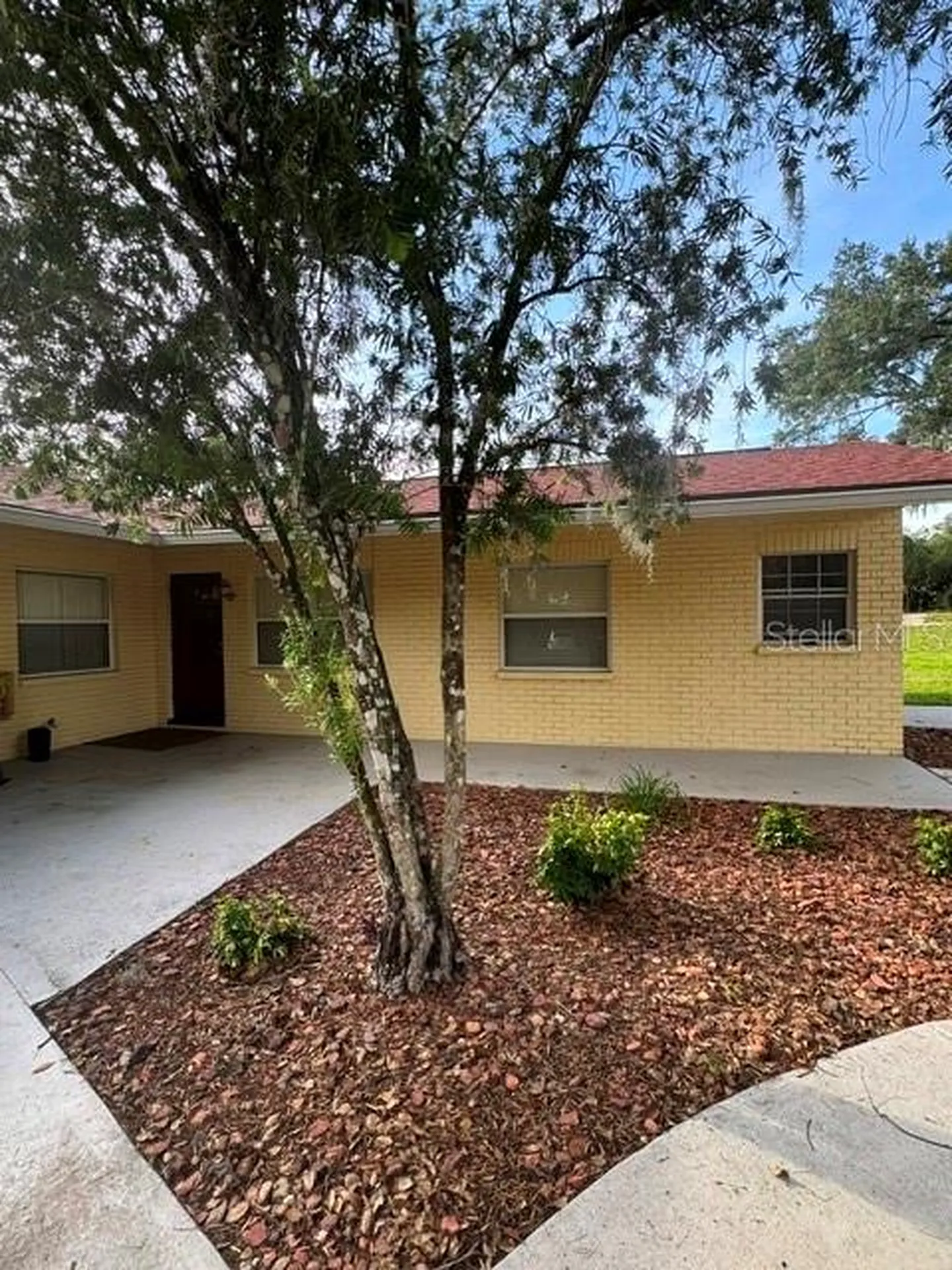 37623 Camphor Drive Dade City FL 33525