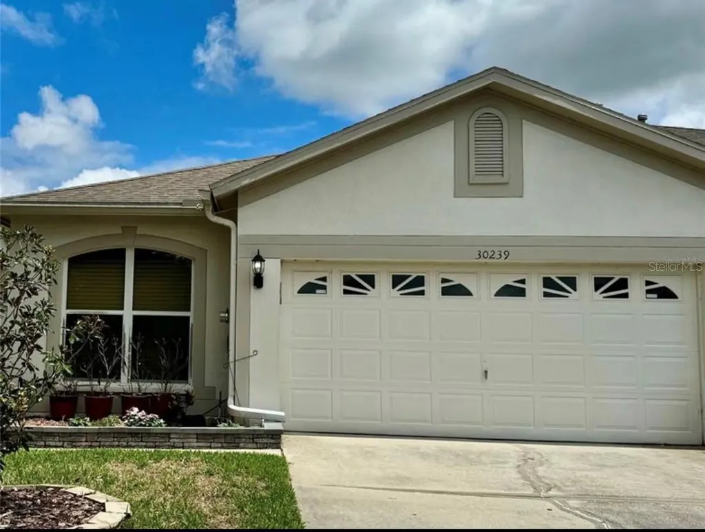 30239 Emmetts Court Wesley Chapel FL 33543