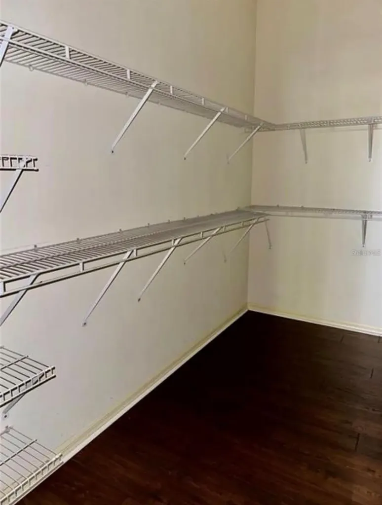 30239 Emmetts Court Wesley Chapel FL 33543