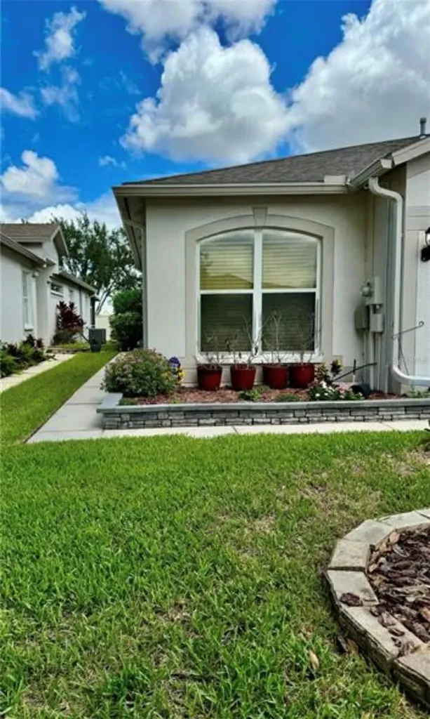 30239 Emmetts Court Wesley Chapel FL 33543