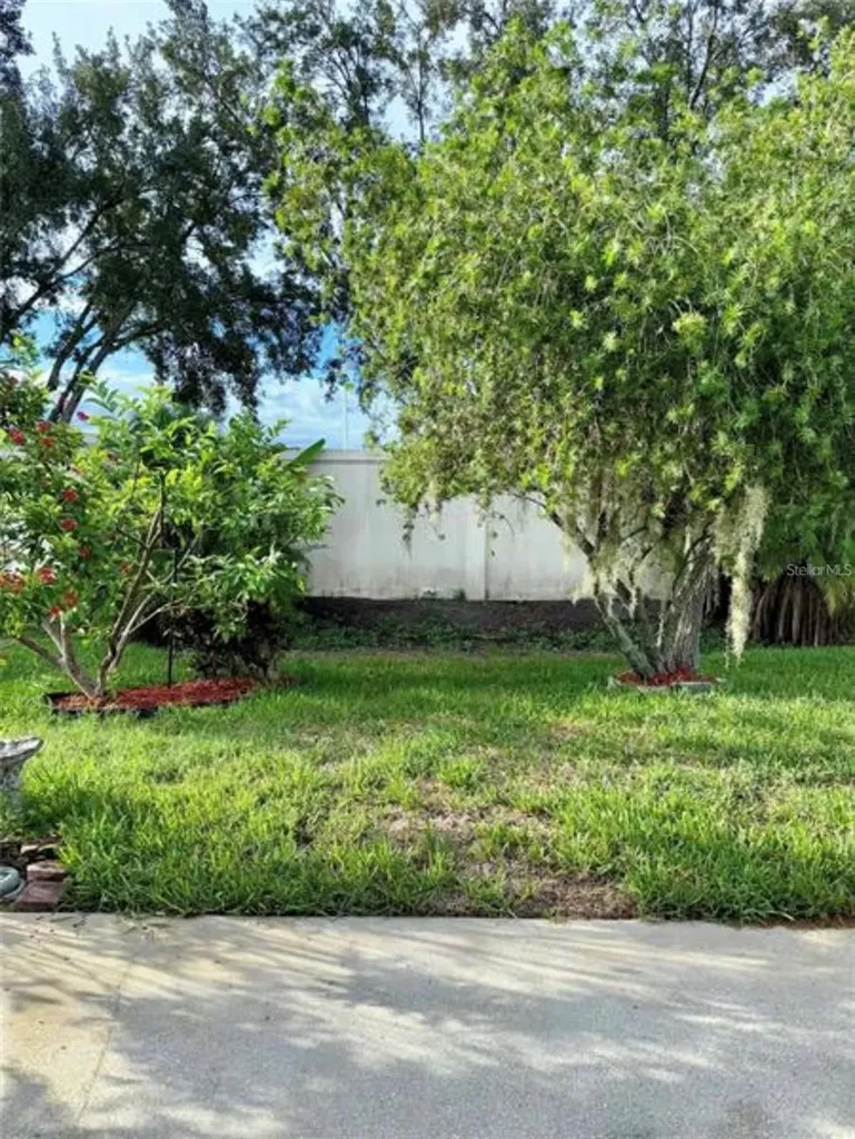 30239 Emmetts Court Wesley Chapel FL 33543