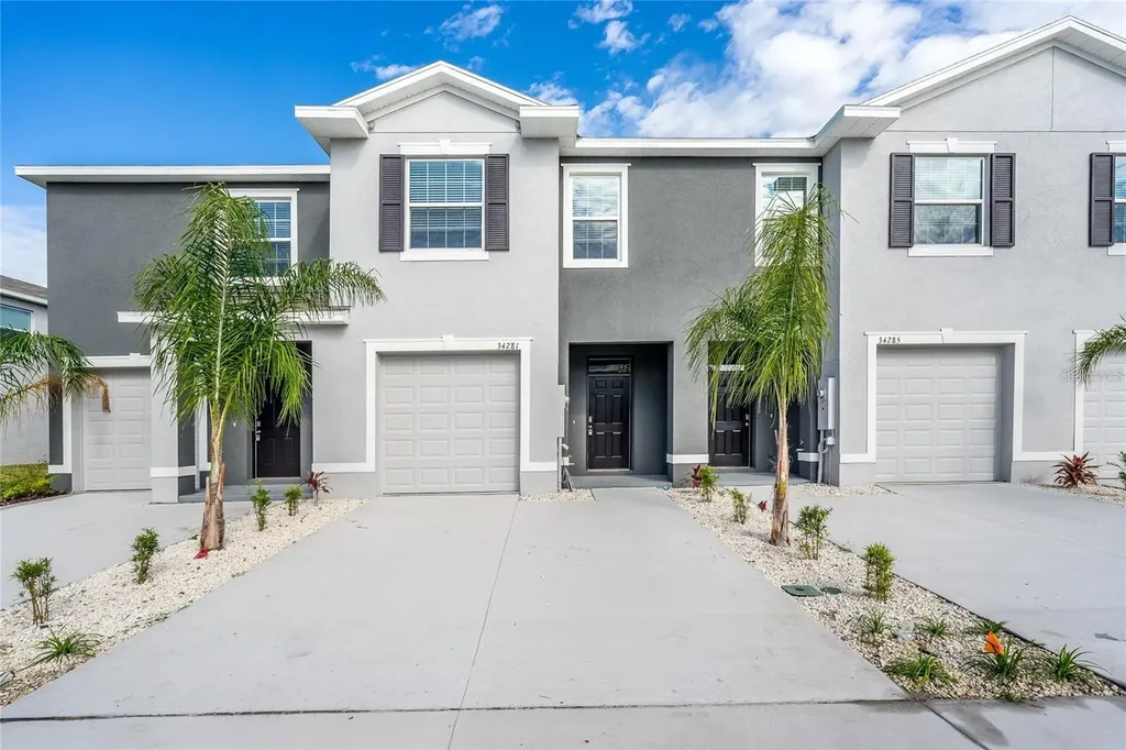 34293 Sorrel Mint Drive Wesley Chapel FL 33543