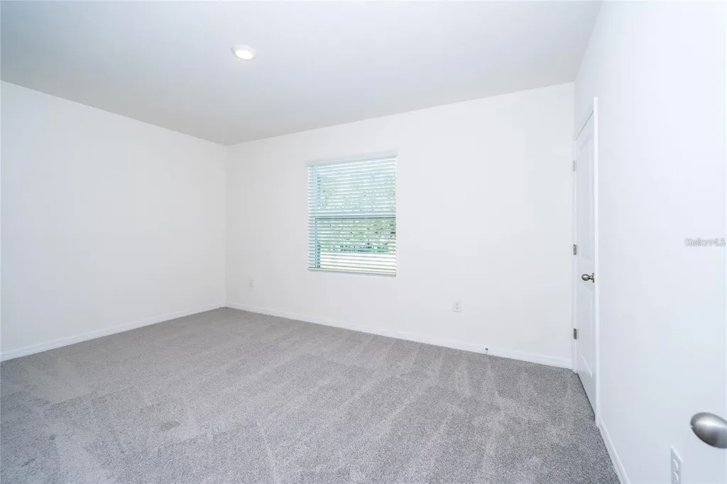 34293 Sorrel Mint Drive Wesley Chapel FL 33543