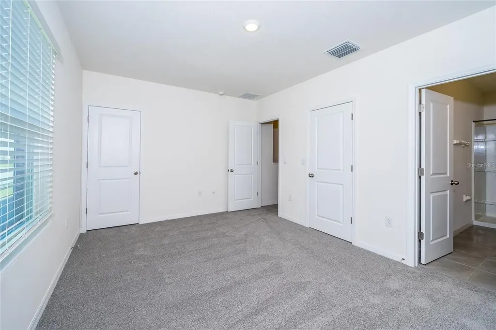 34293 Sorrel Mint Drive Wesley Chapel FL 33543