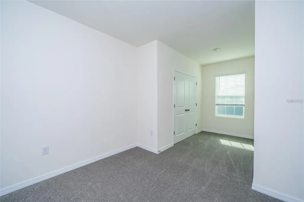34293 Sorrel Mint Drive Wesley Chapel FL 33543