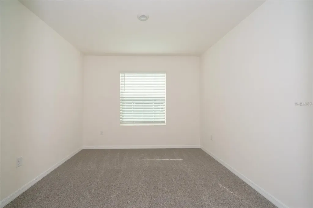 34293 Sorrel Mint Drive Wesley Chapel FL 33543