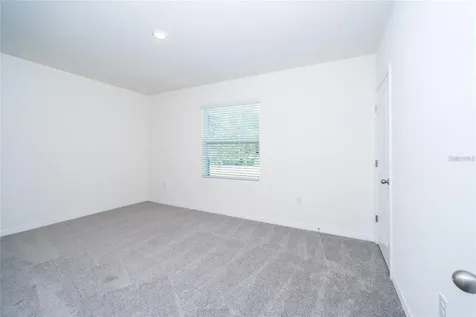 34293 Sorrel Mint Drive Wesley Chapel FL 33543