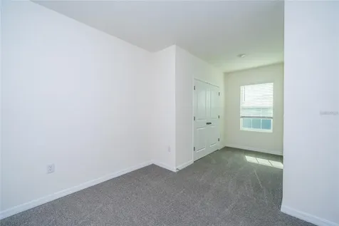 34293 Sorrel Mint Drive Wesley Chapel FL 33543