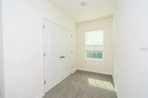 34293 Sorrel Mint Drive Wesley Chapel FL 33543