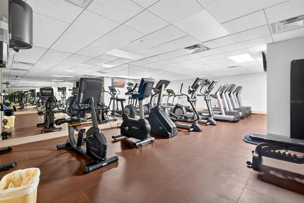 345 Bayshore Boulevard Tampa FL 33606