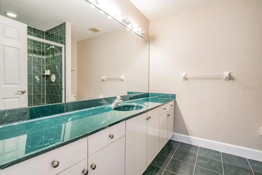 1626 Lago Vista Boulevard Palm Harbor FL 34685