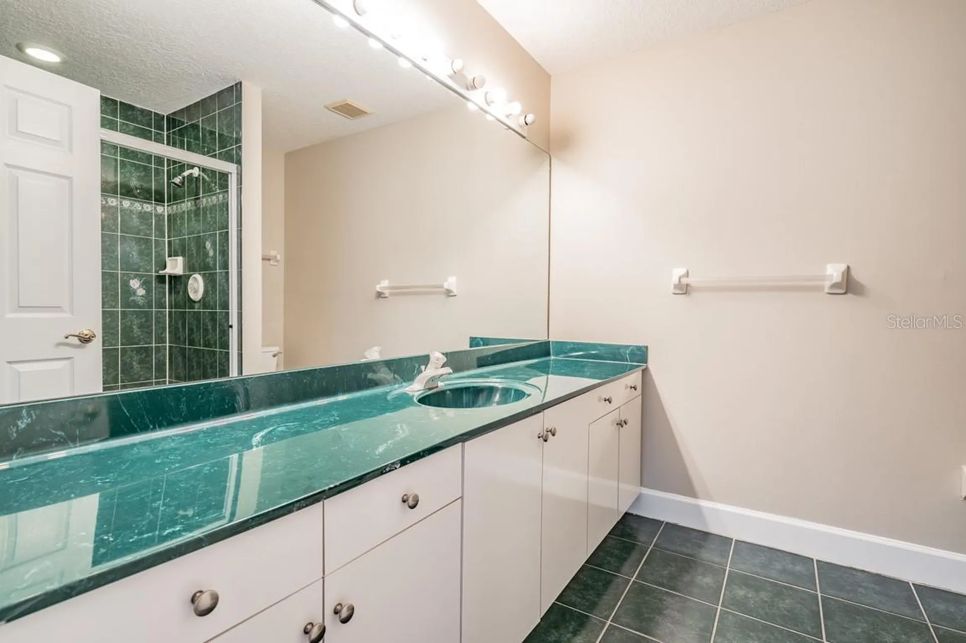 1626 Lago Vista Boulevard Palm Harbor FL 34685