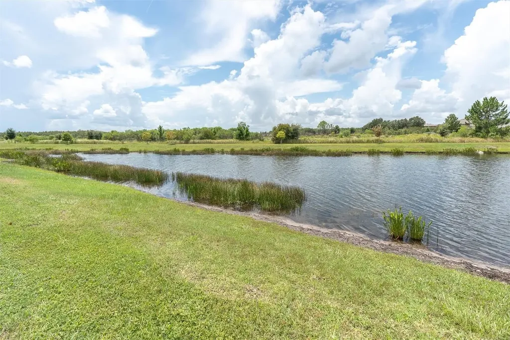 18002 Frame Bend Land O Lakes FL 34638