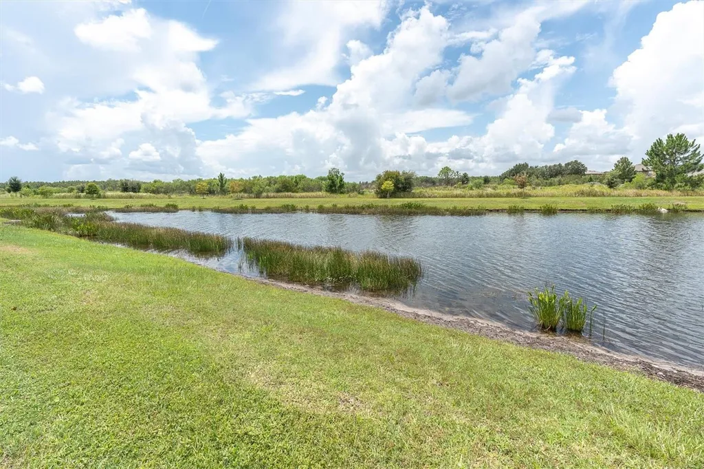 18002 Frame Bend Land O Lakes FL 34638