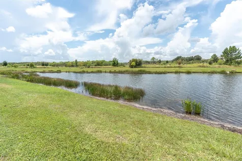 18002 Frame Bend Land O Lakes FL 34638