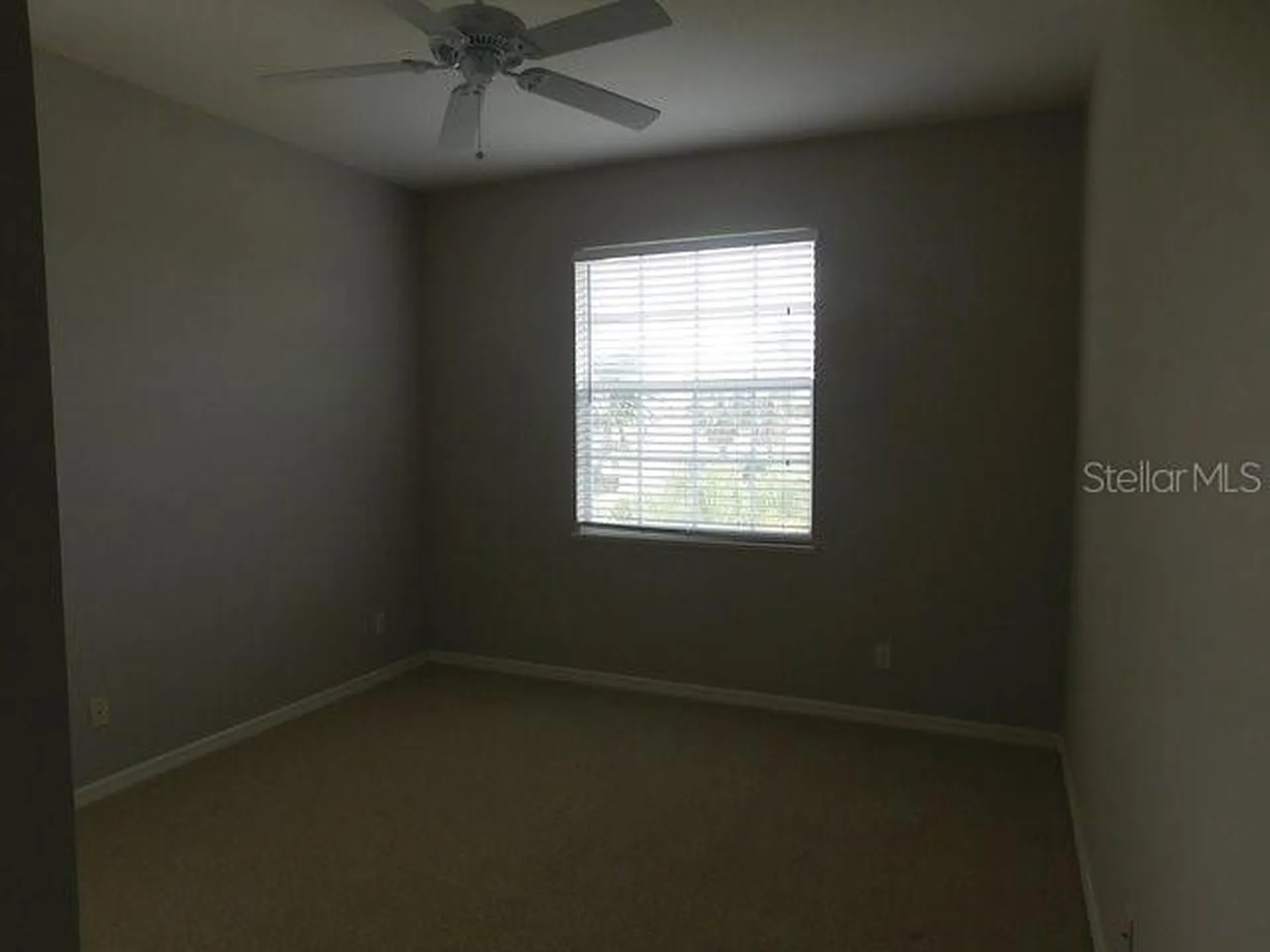 1669 Monarch Drive Venice FL 34293