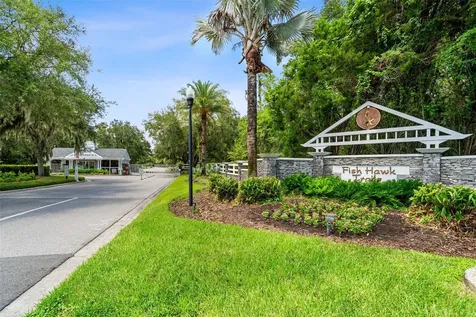 5804 Thoreau Place Lithia FL 33547
