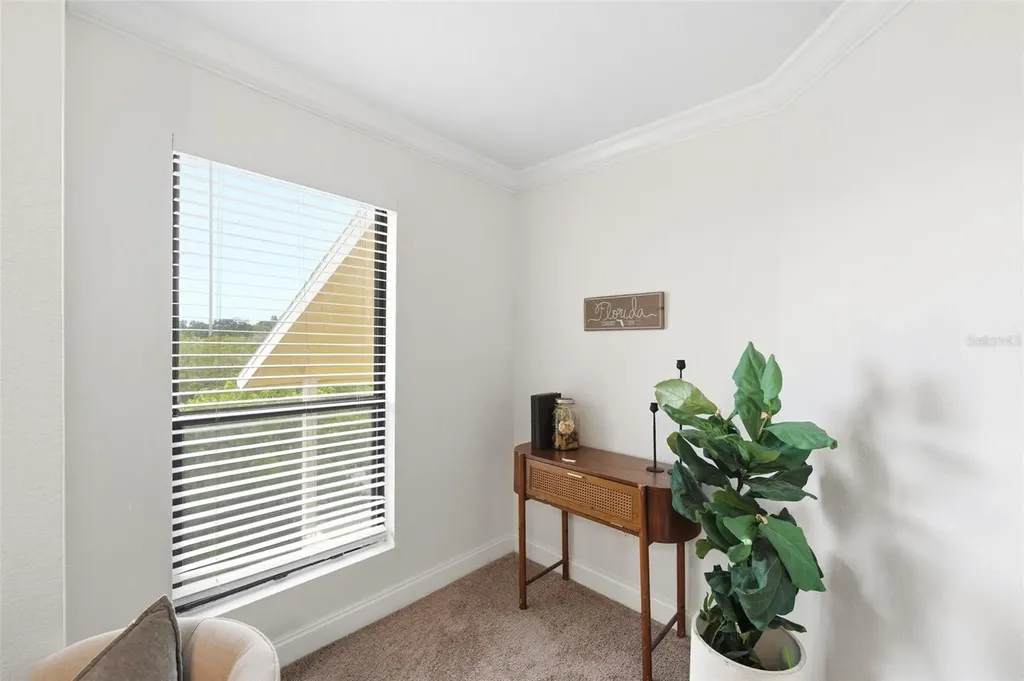 455 Alt 19 S Palm Harbor FL 34683