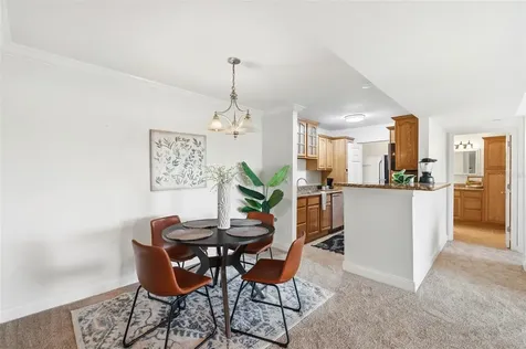 455 Alt 19 S Palm Harbor FL 34683
