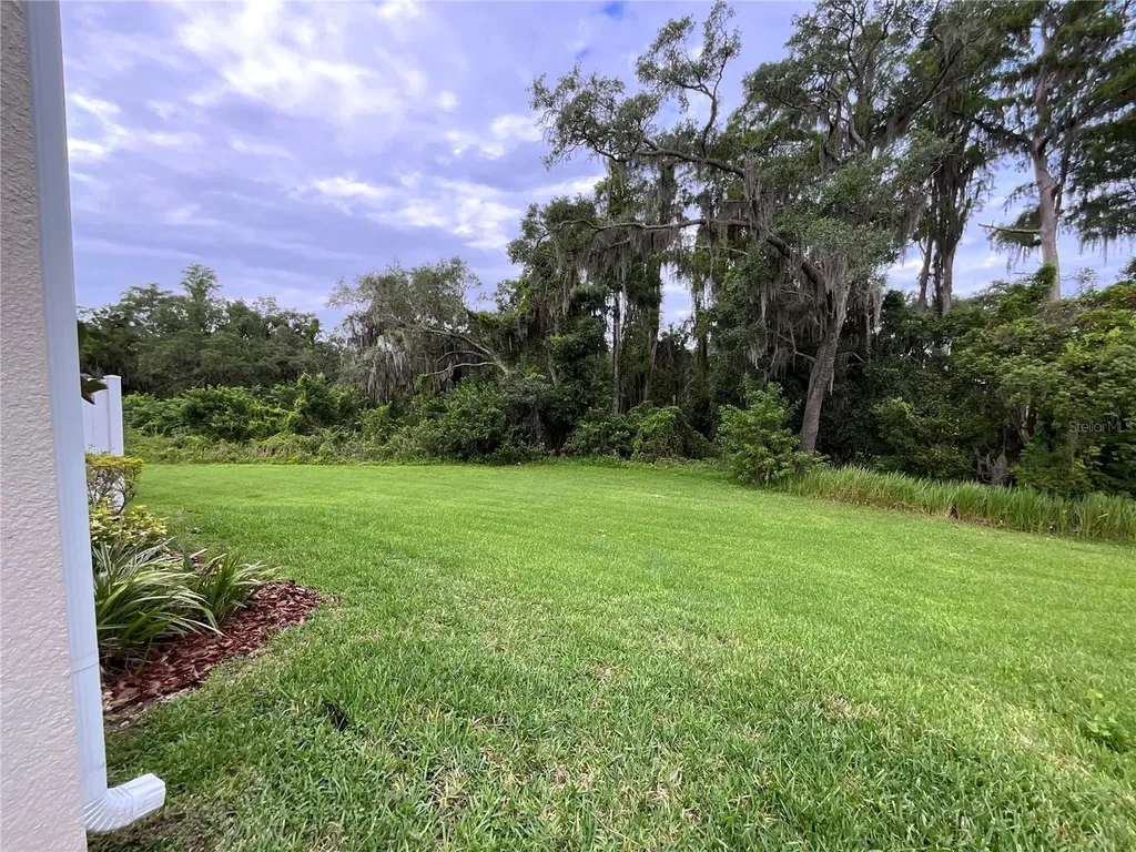 6712 Rocky Park Street Tampa FL 33625