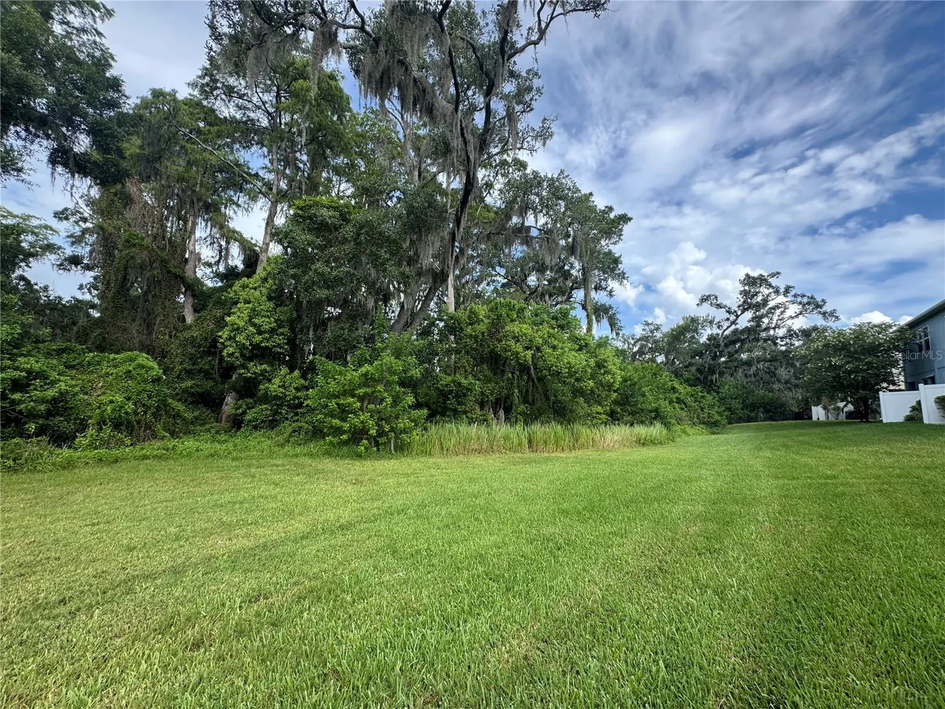 6712 Rocky Park Street Tampa FL 33625