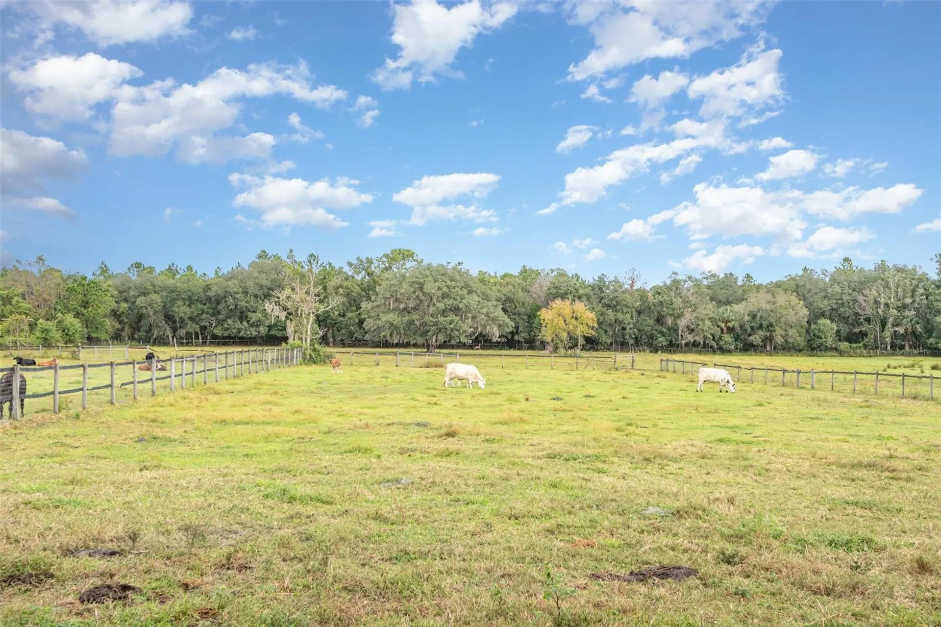 1374 E Ohio Avenue Lake Helen FL 32744