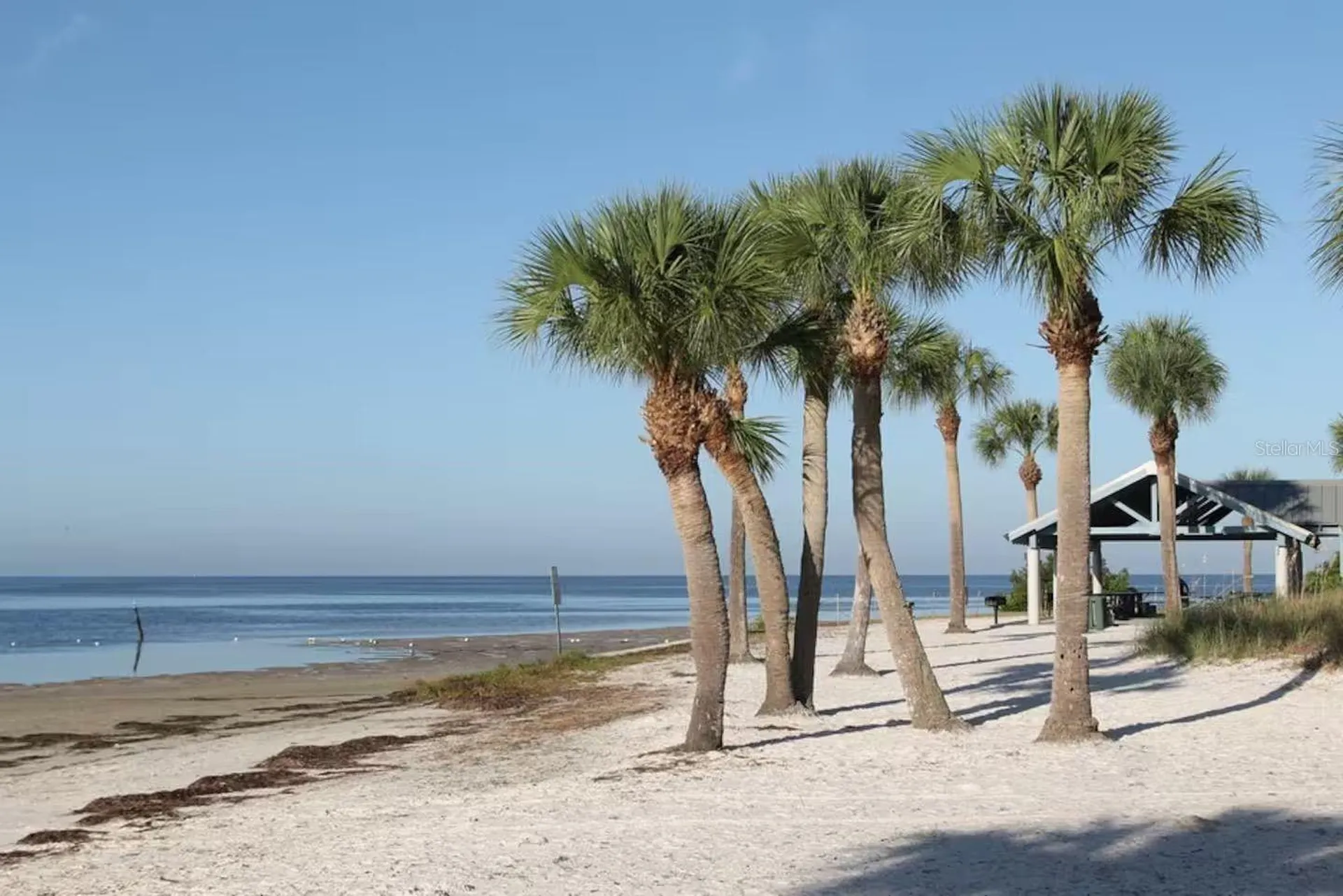 5635 Montana Avenue New Port Richey FL 34652