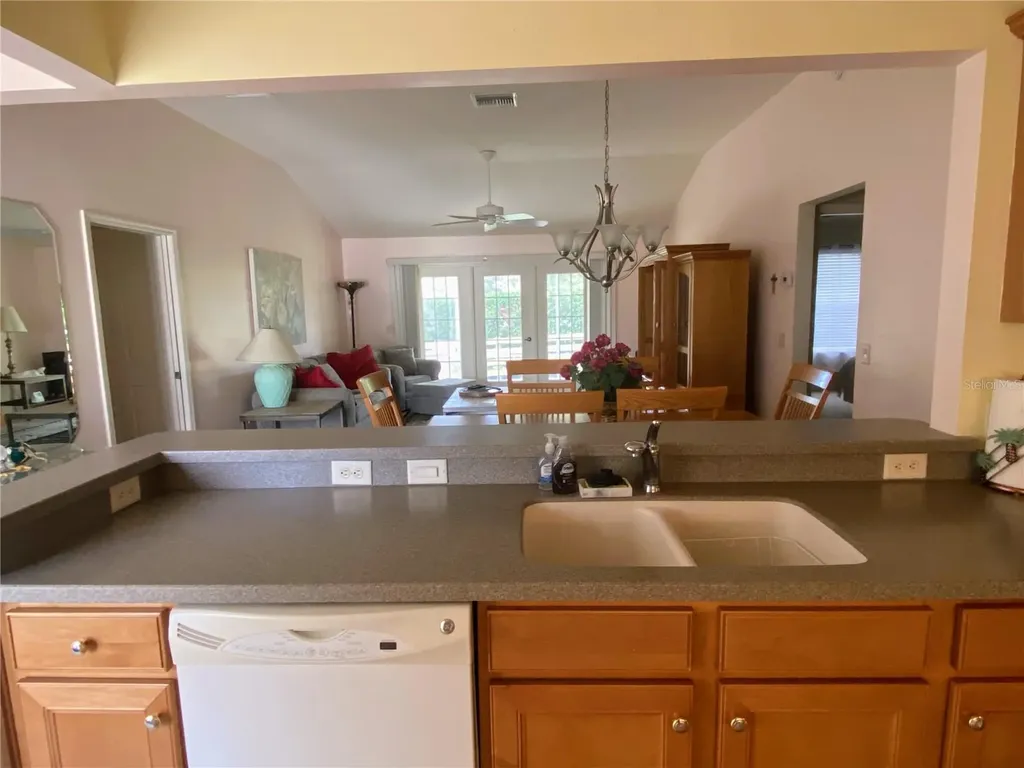 2530 Saffron Lane The Villages FL 32162