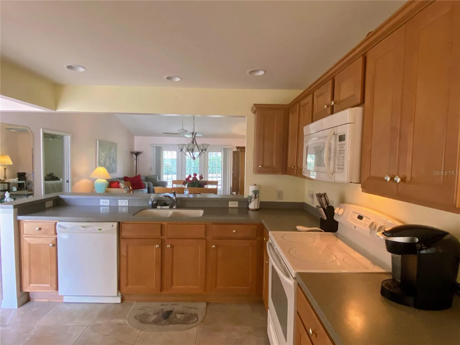 2530 Saffron Lane The Villages FL 32162
