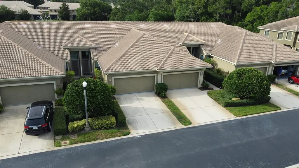 2543 Gloriosa Drive Palm Harbor FL 34684