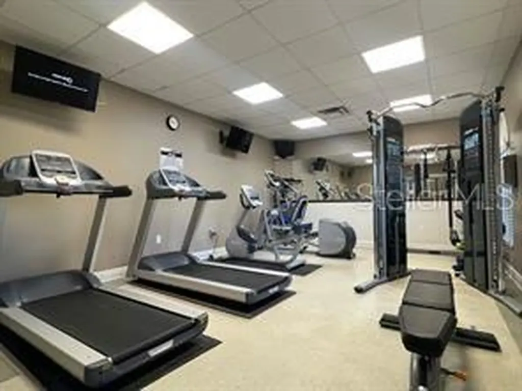 4035 Langdrum Drive Wesley Chapel FL 33543