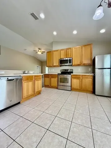 4035 Langdrum Drive Wesley Chapel FL 33543