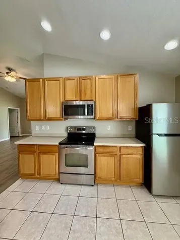 4035 Langdrum Drive Wesley Chapel FL 33543