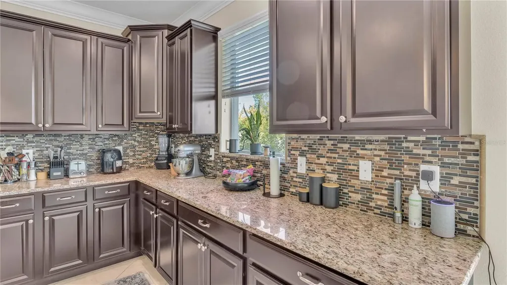 11928 Frost Aster Drive Riverview FL 33579