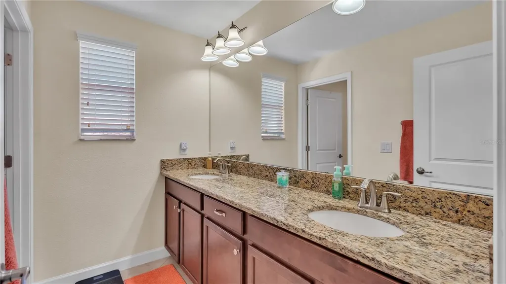 11928 Frost Aster Drive Riverview FL 33579