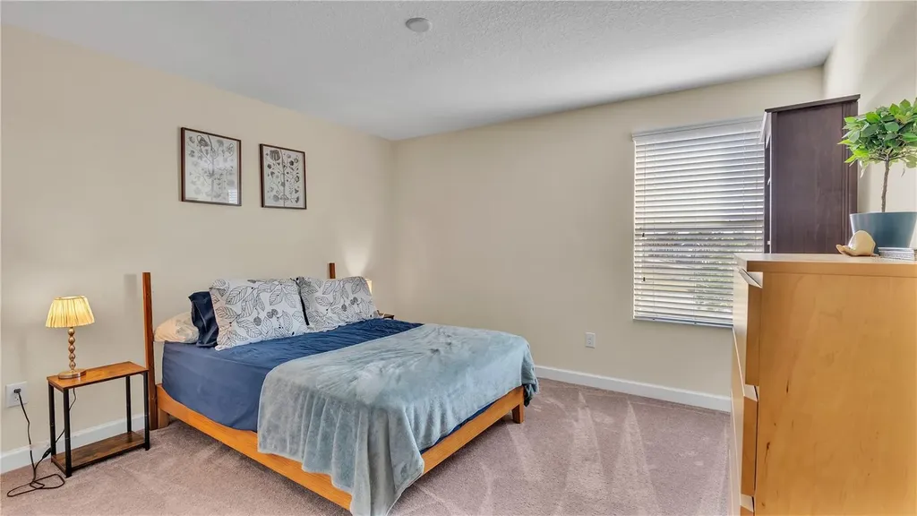 11928 Frost Aster Drive Riverview FL 33579