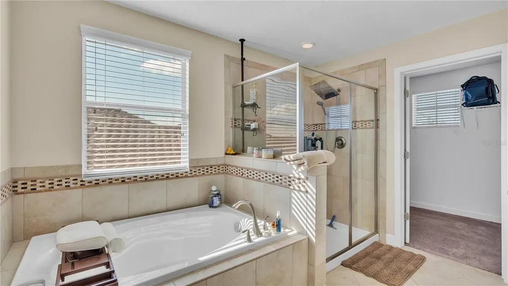 11928 Frost Aster Drive Riverview FL 33579