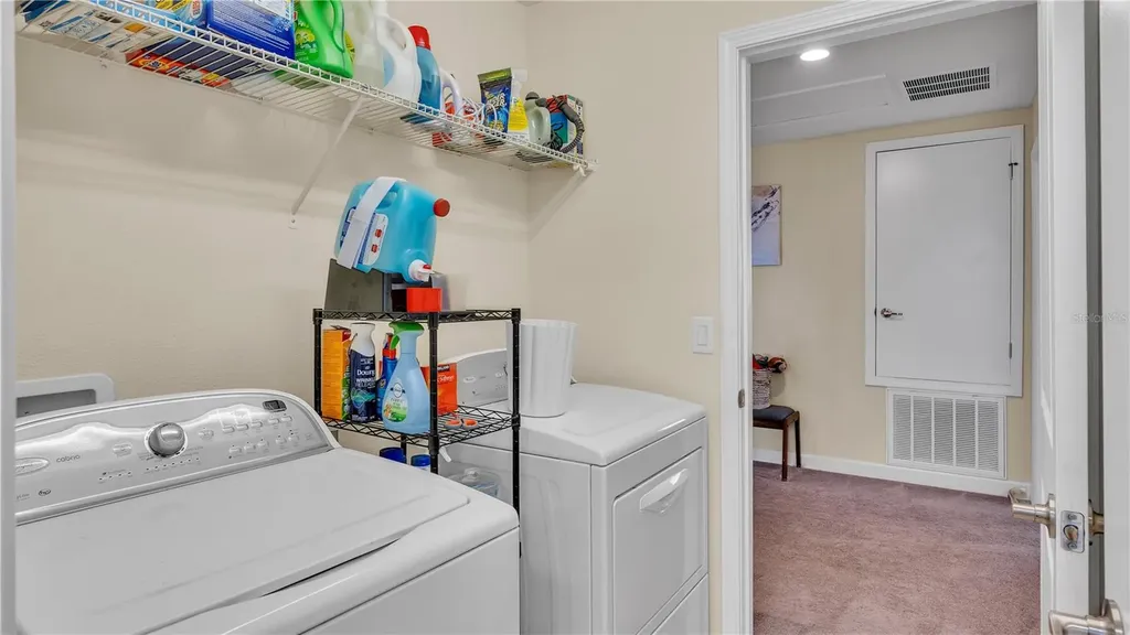 11928 Frost Aster Drive Riverview FL 33579