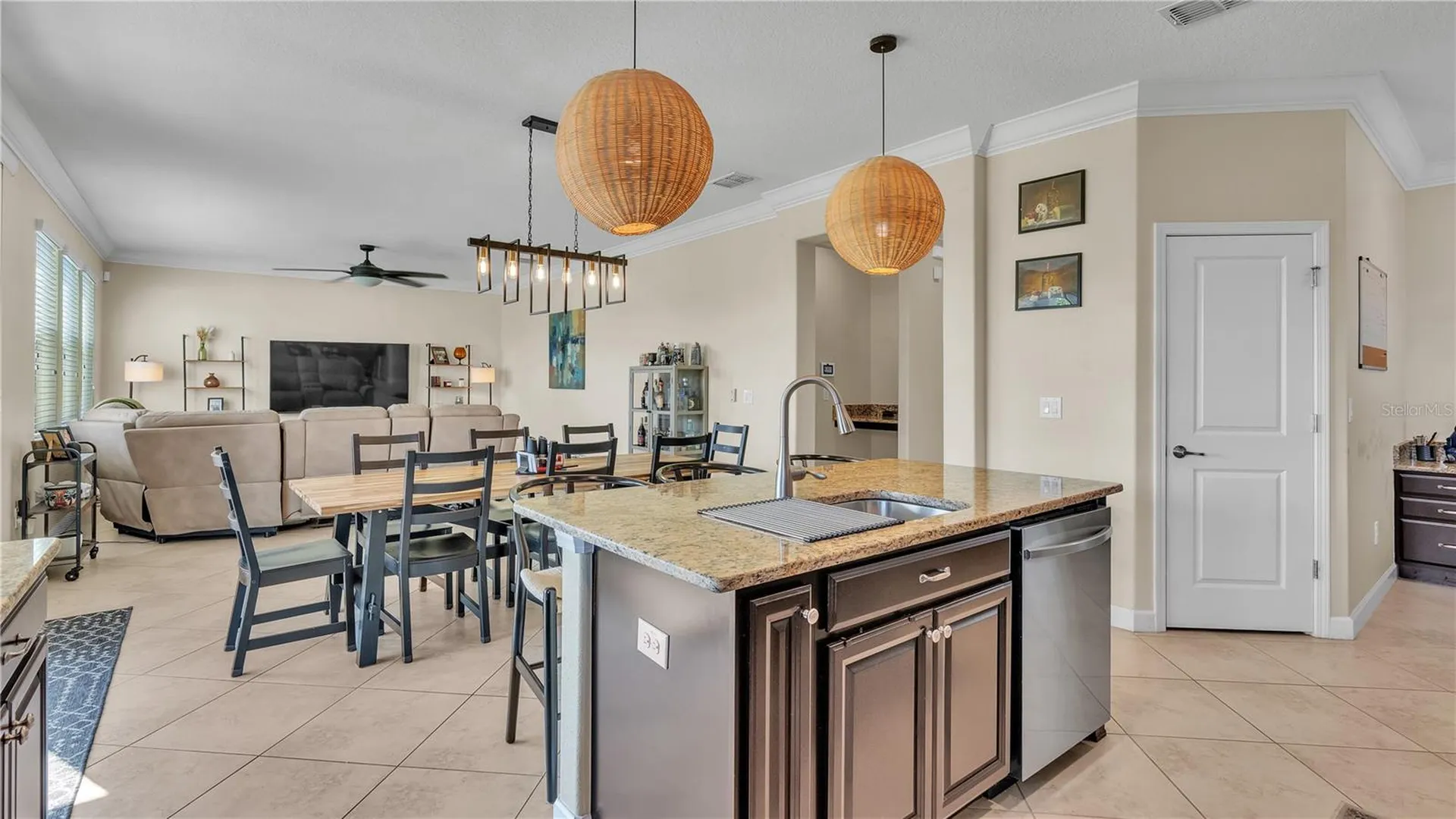 11928 Frost Aster Drive Riverview FL 33579